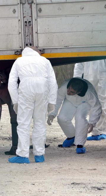  Perizia della Procura sul tir del camionista sbranato dal branco 