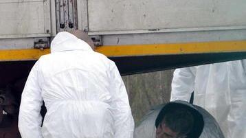 Perizia della Procura sul tir del camionista sbranato dal branco