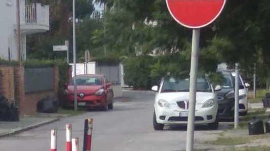 I cittadini chiedono il ritiro del verde gratis