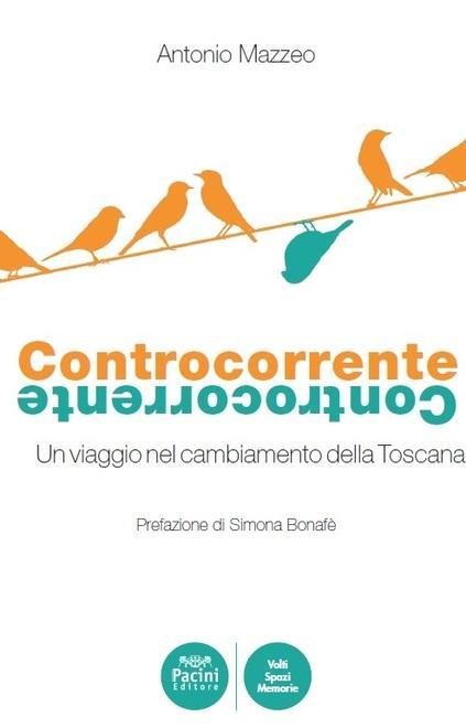 «Il mio viaggio controcorrente per Pisa al centro della Toscana» 