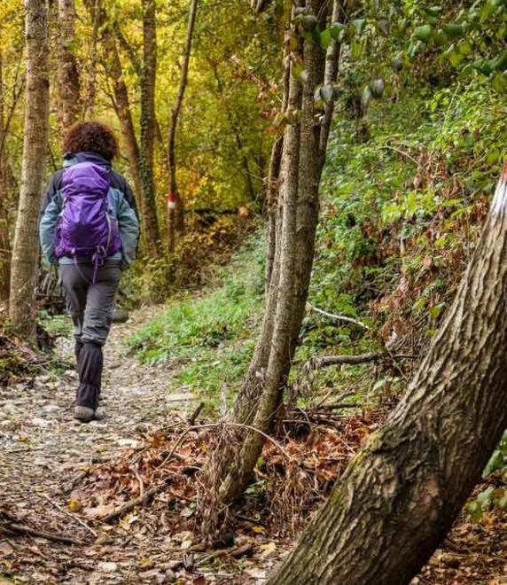 Giornata al Berignone di studenti e famiglie per scoprire la foresta