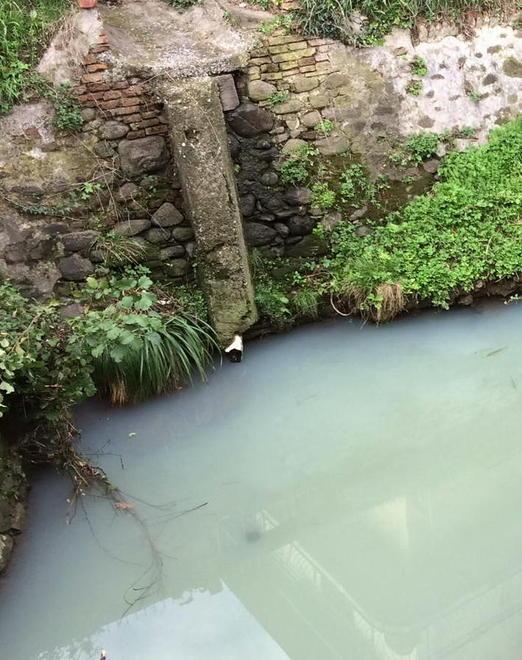 Sversamento nel torrente intervengono l’Arpat e la Polizia municipale