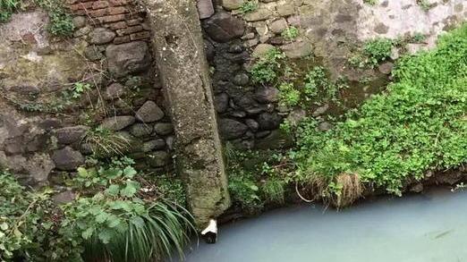 Sversamento nel torrente intervengono l’Arpat e la Polizia municipale