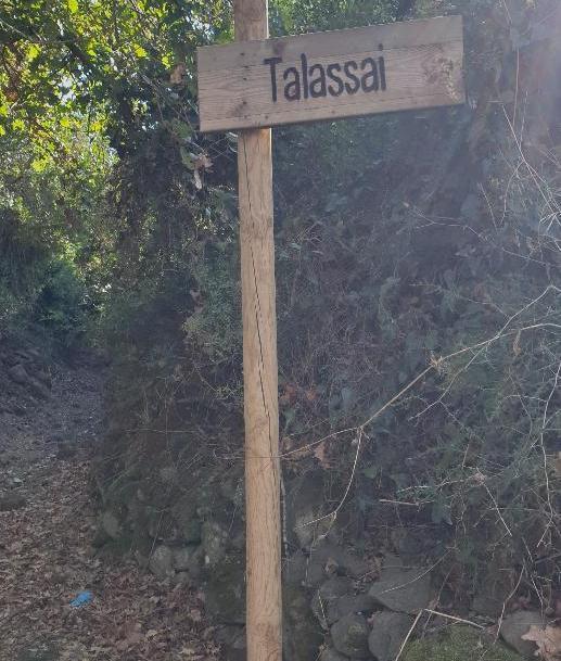 Talasai, il nuraghe imprigionato dai rovi 