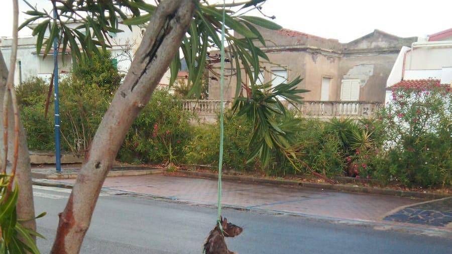 Topo ucciso e impiccato a Bosa Marina