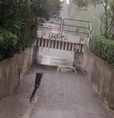 Poliziotta rivendeva le marche da bollo