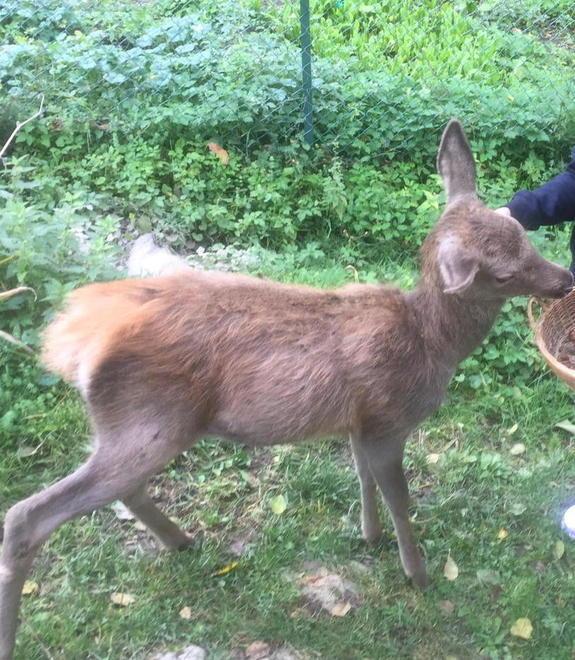 La nuova vita di Sebastian a Modena