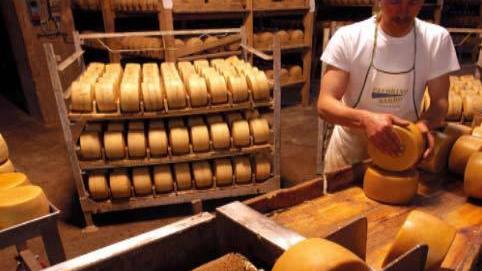 Agroalimentare, è boom in Sardegna: le imprese sono quasi 35mila
