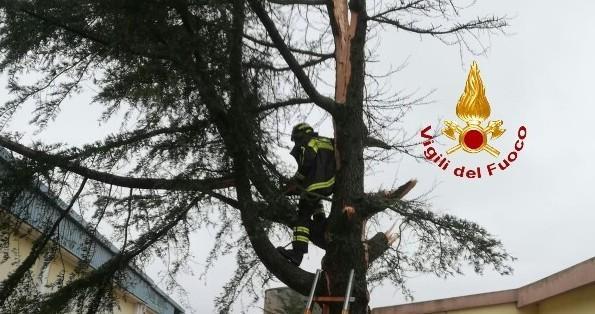 Fulmine sul Caip e allagamenti