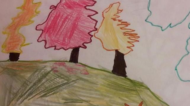 Un disegno dei più piccoli per ripiantare gli alberi