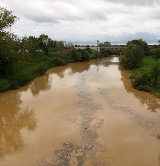 Chiazza nel fiume si attendono le analisi
