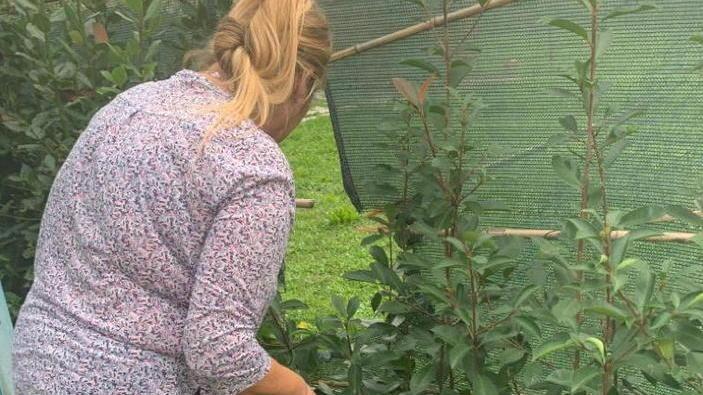 Trovano la casa svaligiata dai ladri armati di flessibile