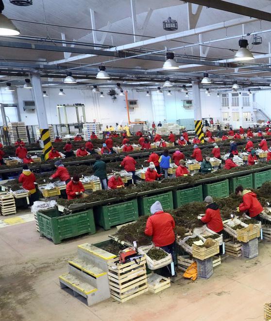 Due aziende ferraresi all’Agrialp di Bolzano