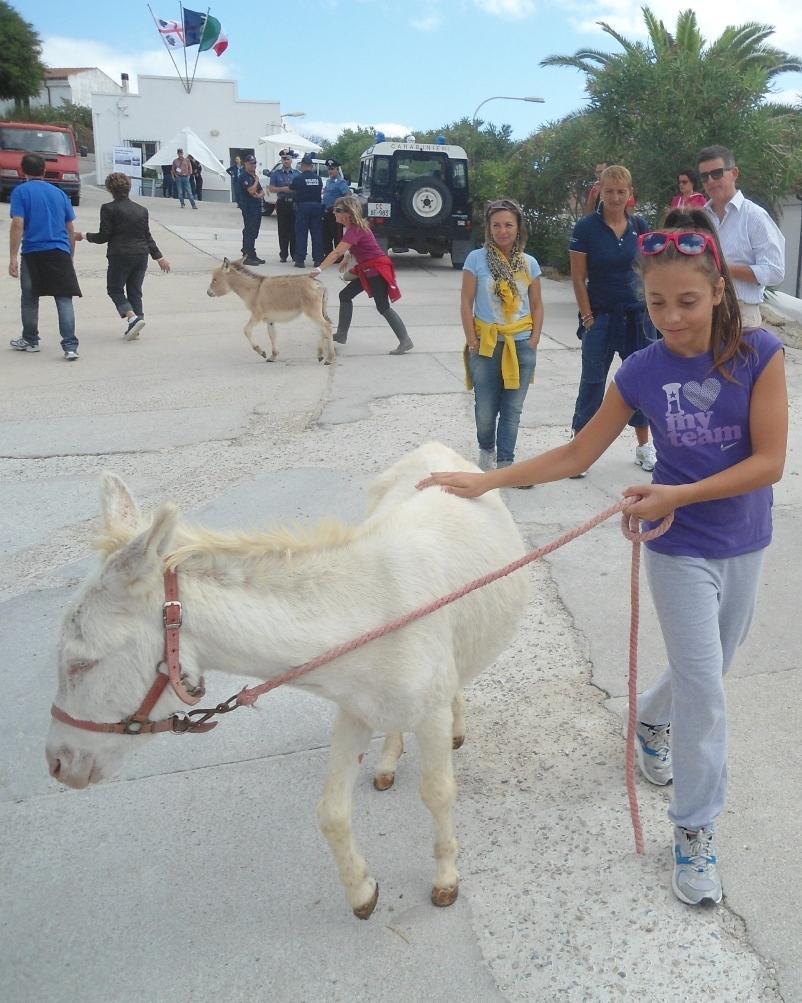 All’Asinara turismo esperienziale 
