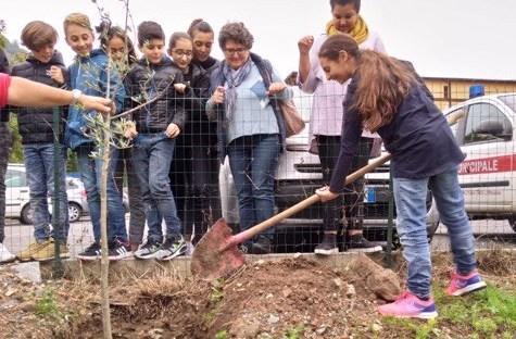 Gli studenti piantano tre olivi e un acero
