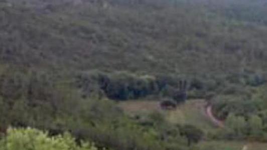 Tre fungaioli si perdono Ritrovati grazie al Gps