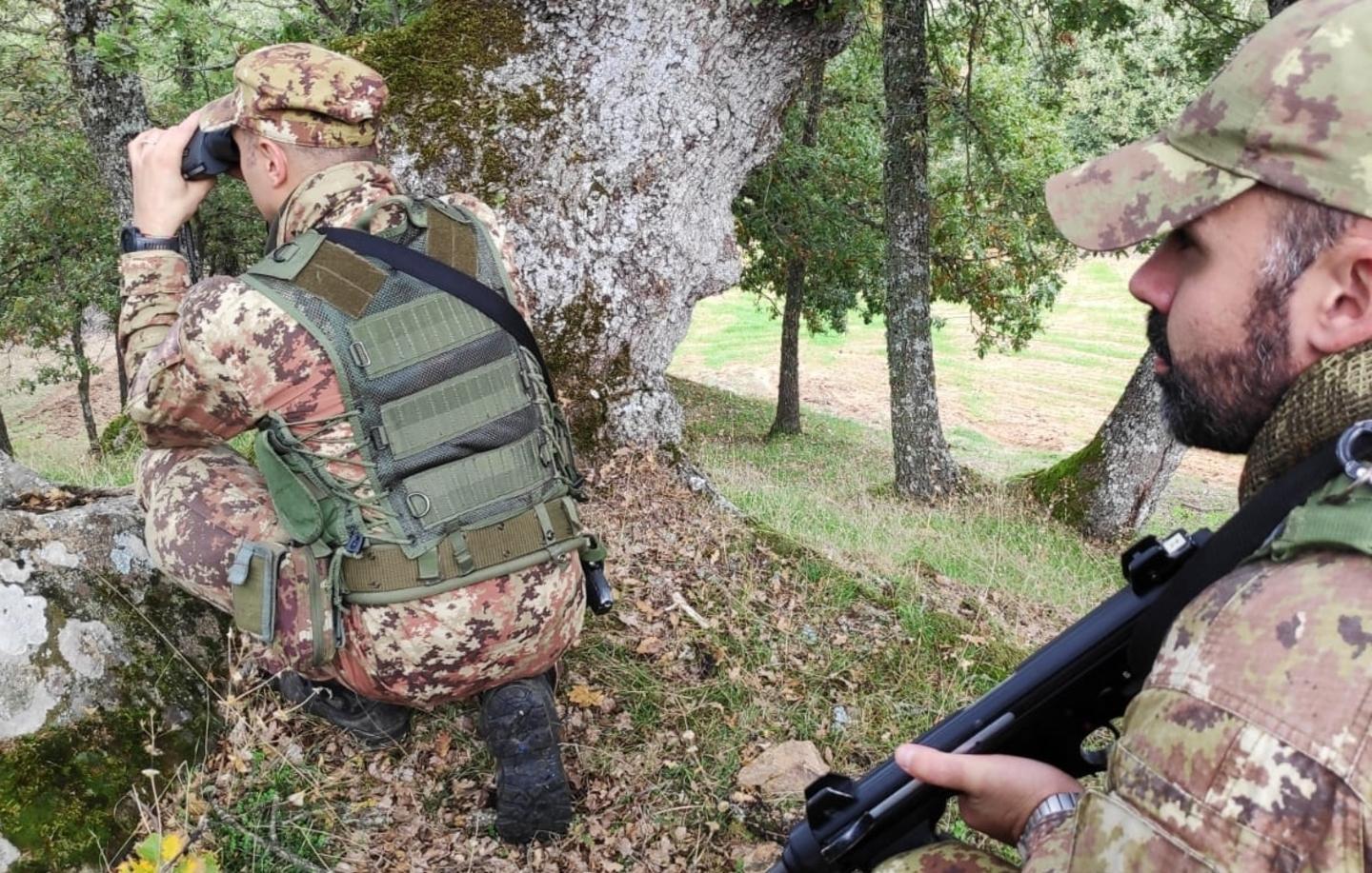 Marijuana, 1.300 piante sequestrate 