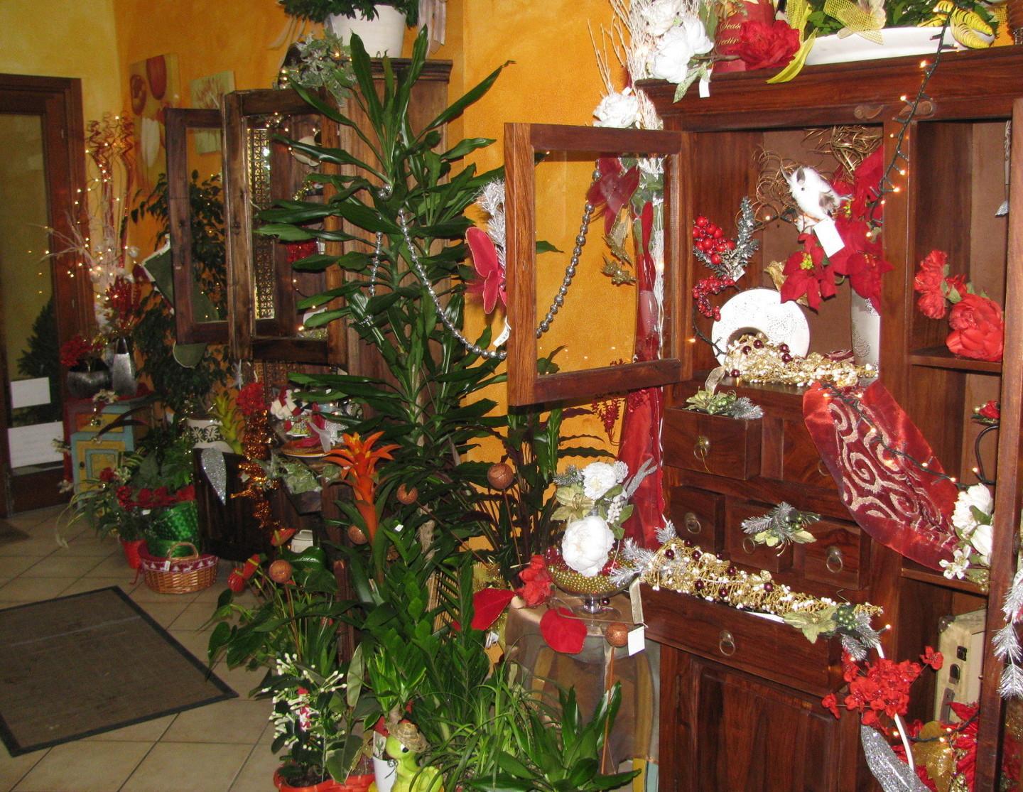 Con l’avvicinarsi del Natale il Comune pianifica le iniziative