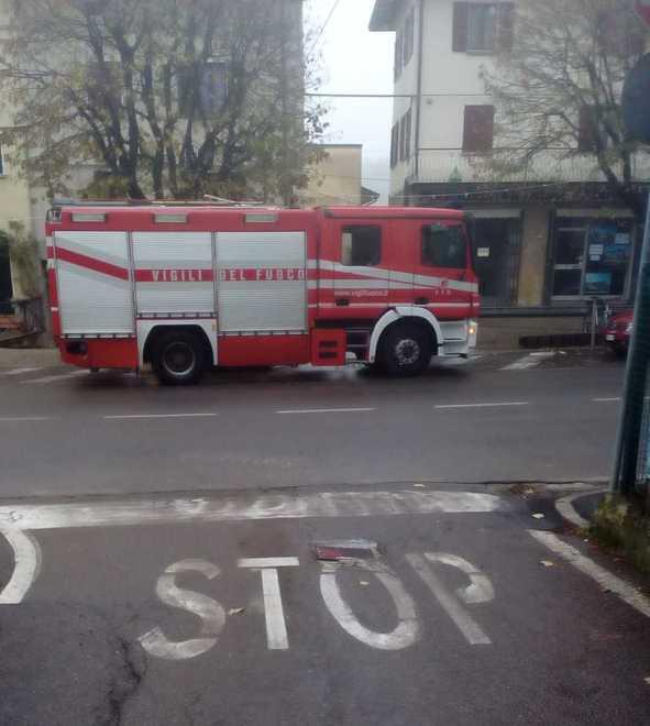 Nido di vespe sul tetto allarme in via Roma arrivano i pompieri