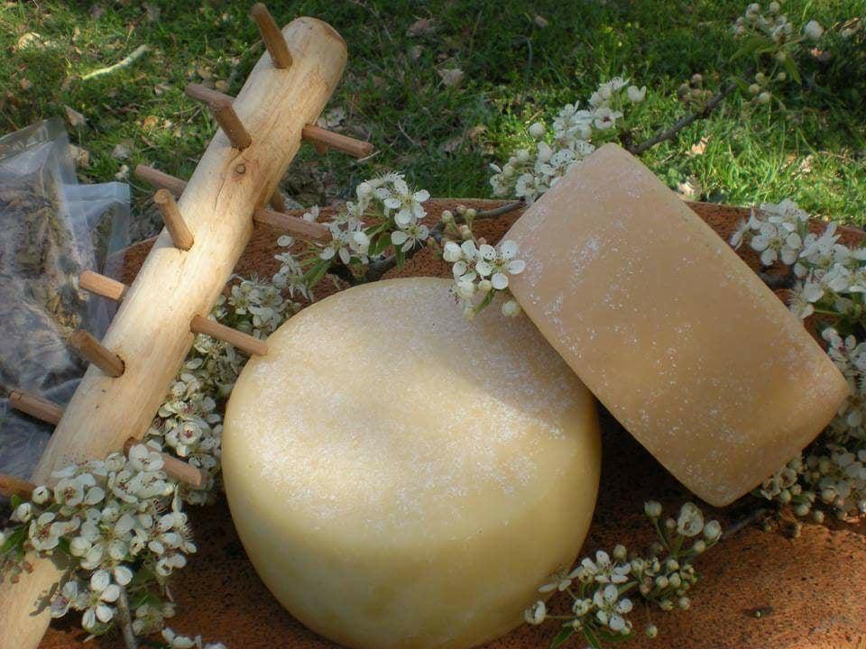 Cresce la richiesta di formaggi sardi negli Usa, appello contro i dazi 