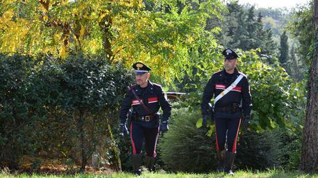Nascondono la cocaina nel bosco, un cinghiale ne distrugge per 20.000 euro