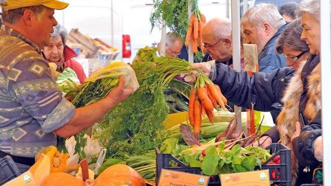 Tornano i banchi di “Campagna amica”