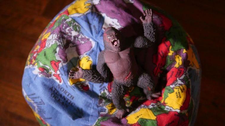 Reggio Emilia, oltre 1.700 corti arrivati da 75 paesi per partecipare al Reggio Film Festival