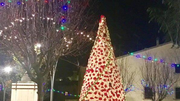 “Le donne dell’albero” al lavoro: «Una sorpresa per l’ambiente»