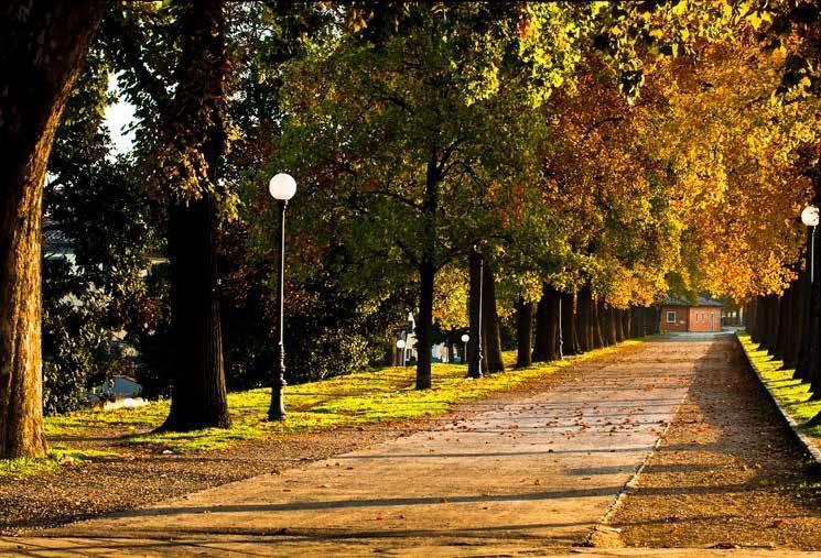 Con il Tirreno “Il respiro della Lucchesia” 