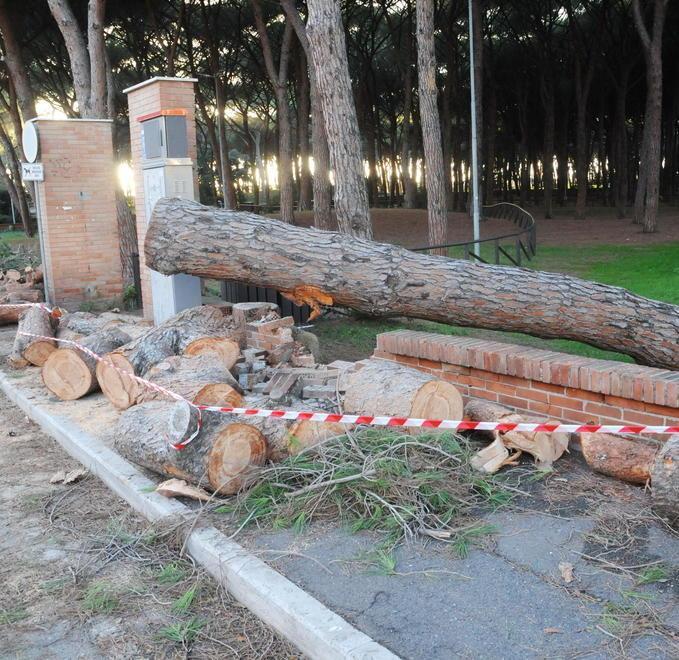 Mareggiata sulla costa, le barriere reggono 