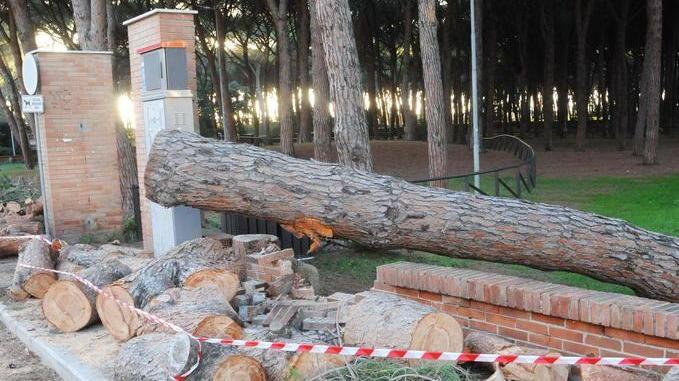 Mareggiata sulla costa, le barriere reggono