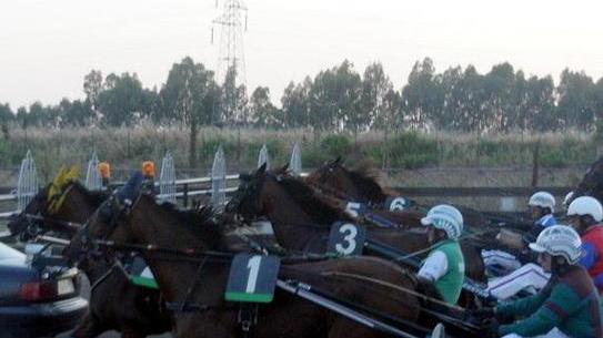La Tris ai Pini è il premio Casoli Sedici soggetti al via alle 18,30