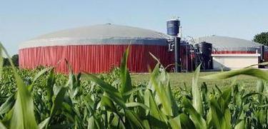Biogas, diffida al Comune «Sacra non ha alcun titolo»