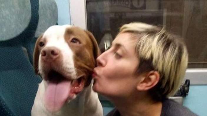 Morta al rave, la cagnolina fino all’ultimo istante è rimasta accanto alla sua padrona