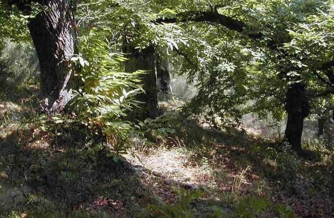 In 8 anni 17,5 milioni per l’agricoltura 