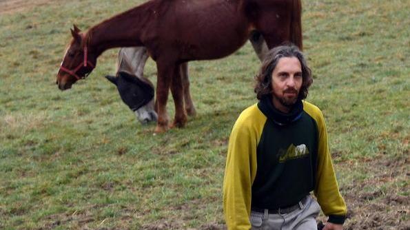 Cavalli morti a Volterra, analisi dell’acqua e caccia ai virus: ultime carte per risolvere il giallo