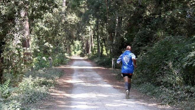 Discariche alla Versiliana Tornano le sbarre