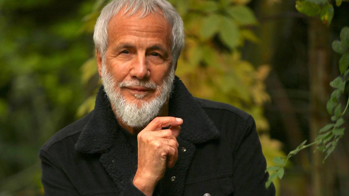 Summer Festival, Cat Stevens sul palco di piazza Napoleone
