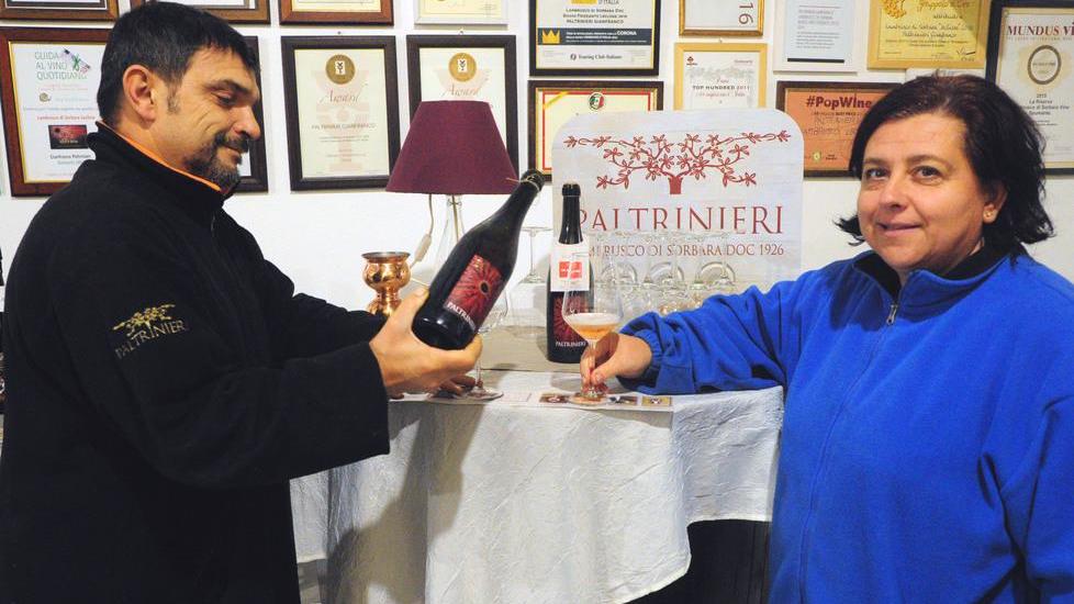 Cantina Paltrinieri, tre generazioni e il “Sorbara” nato per caso