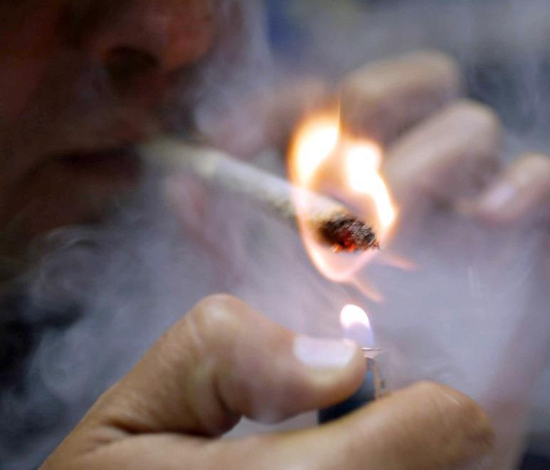 Droga a Modena, uno su otto è minore: la cannabis è la più diffusa 
