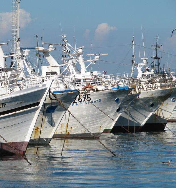 Tagli alla pesca «Temiamo passi indietro» 