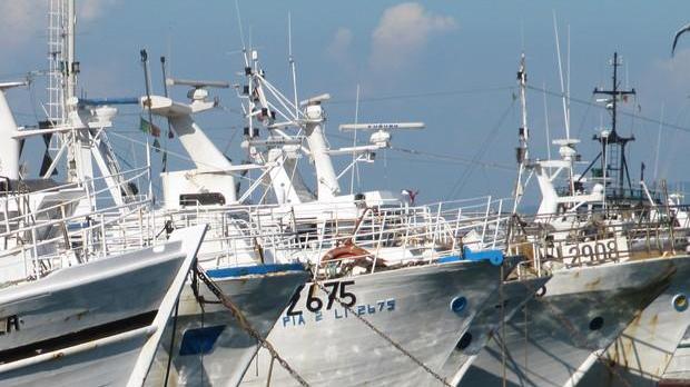 Tagli alla pesca «Temiamo passi indietro»
