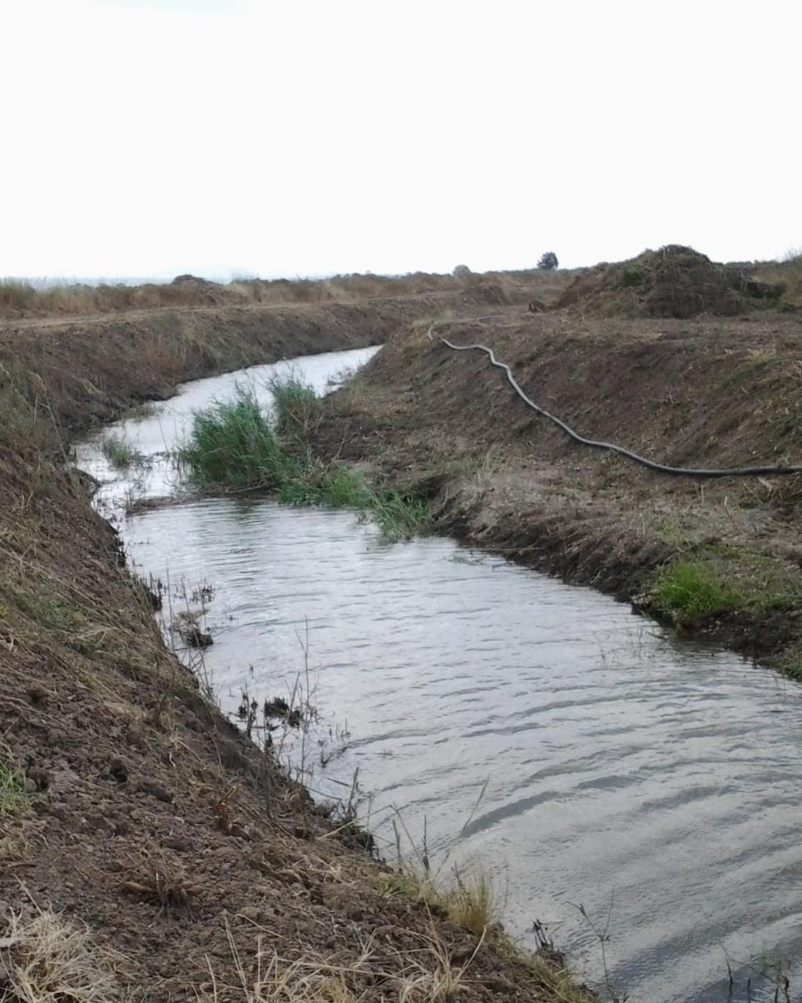 Interventi sugli argini del Tirso 