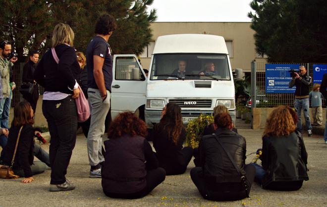 Oristano, scontro sulla tartaruga restituita all’acquario di Alghero