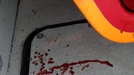 Il sangue sul bus Tirrenia-Pisa
