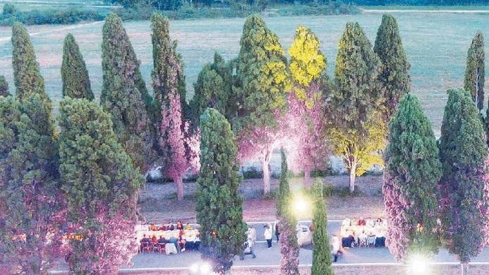 La cena organizzata dal consorzio di Bolgheri lungo il viale dei cipressi per i venticinque anni della Doc (Foto Muzzi per l'azienda vinicola Poggio al Tesoro di Allegrini)