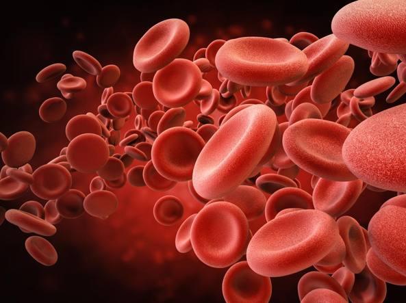 Nuove terapie per la leucemia mieloide, una scoperta modenese
