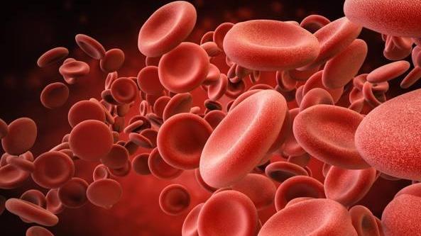 Nuove terapie per la leucemia mieloide, una scoperta modenese