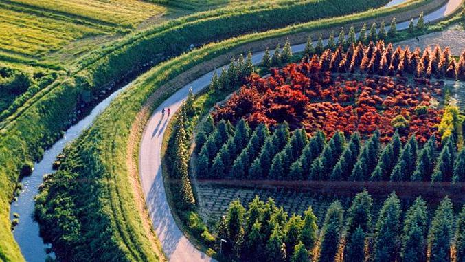 Stop al glifosato: la Regione anticipa la linea dettata dall’Unione Europea