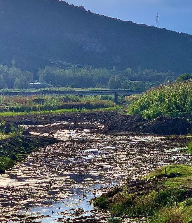 Tortolì, lavori di pulizia nell’alveo del rio Foddeddu 